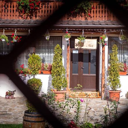 Agropensiunea Casa Nica Margineni  Екстериор снимка