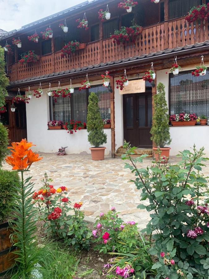 Agropensiunea Casa Nica Margineni  Екстериор снимка