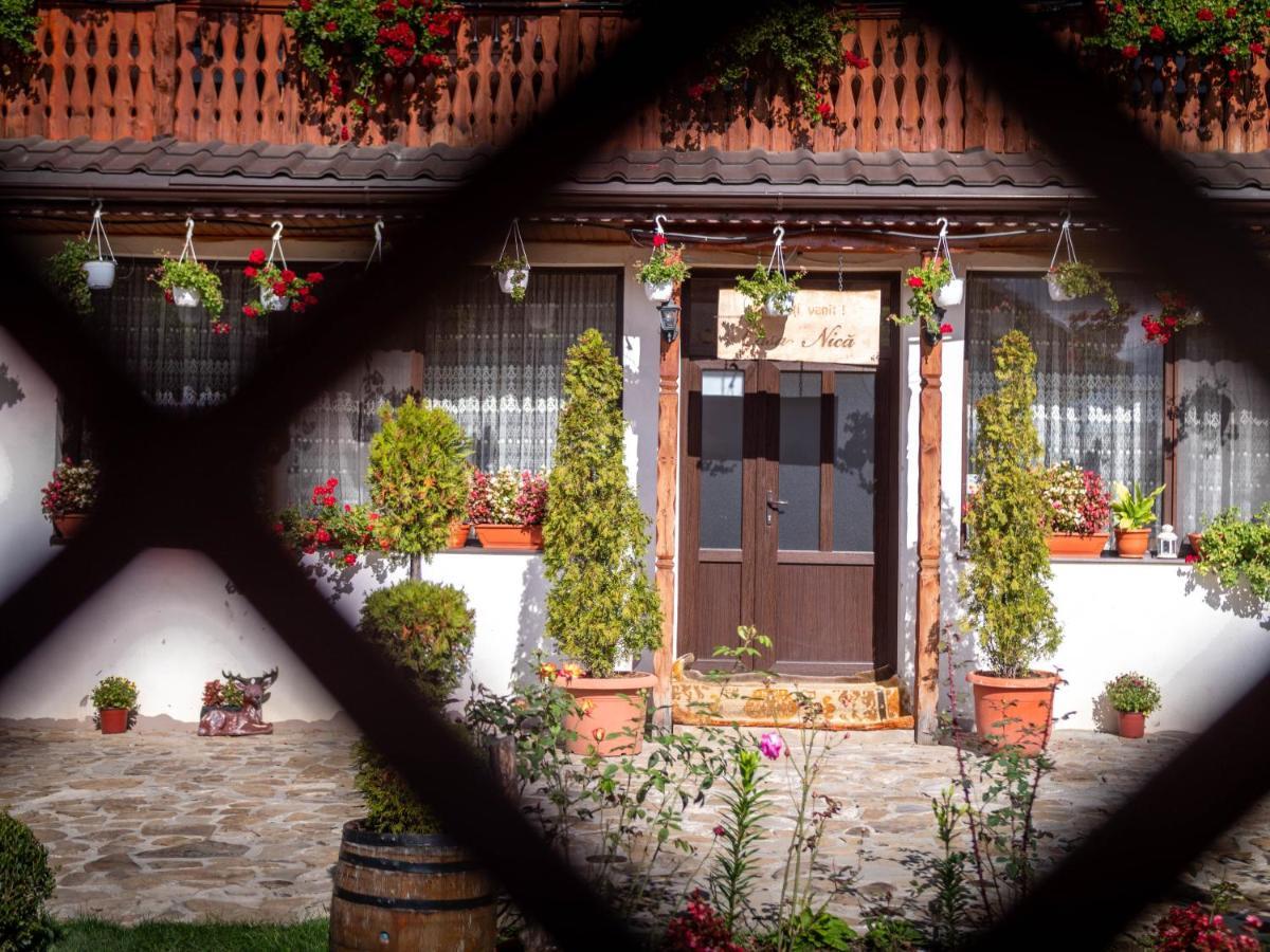 Agropensiunea Casa Nica Margineni  Екстериор снимка
