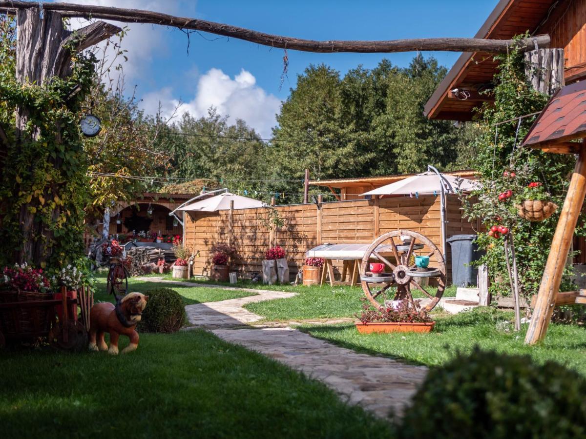Agropensiunea Casa Nica Margineni  Екстериор снимка