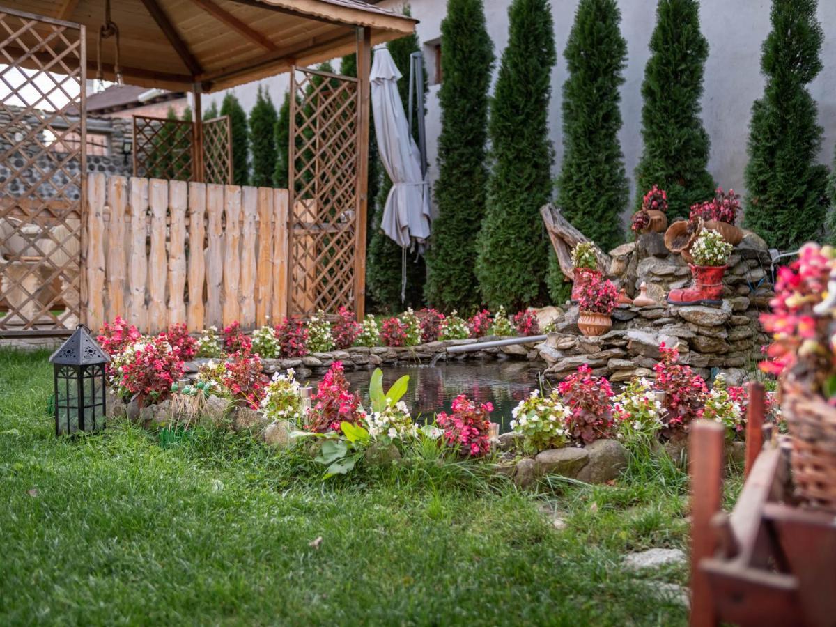 Agropensiunea Casa Nica Margineni  Екстериор снимка