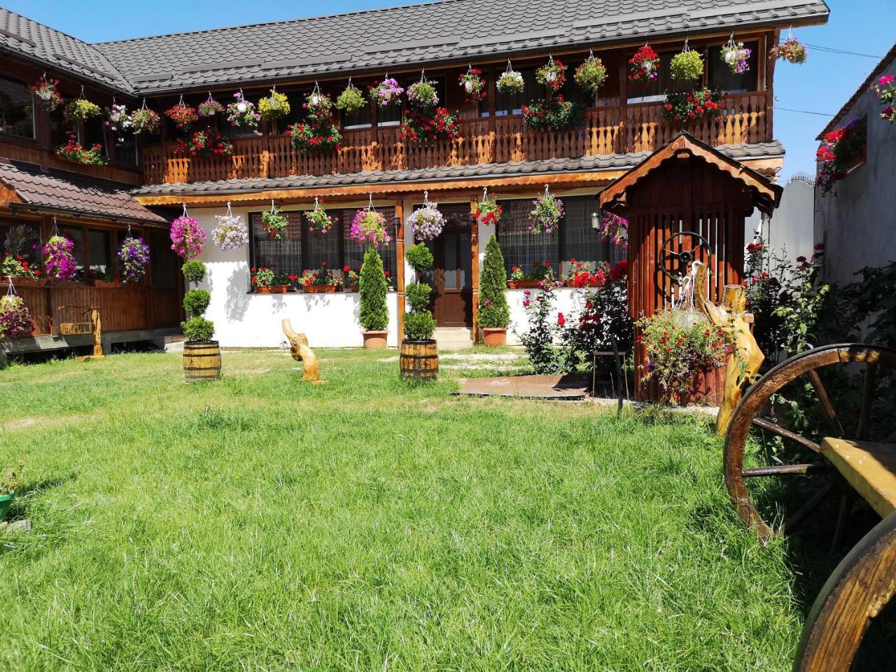 Agropensiunea Casa Nica Margineni  Екстериор снимка