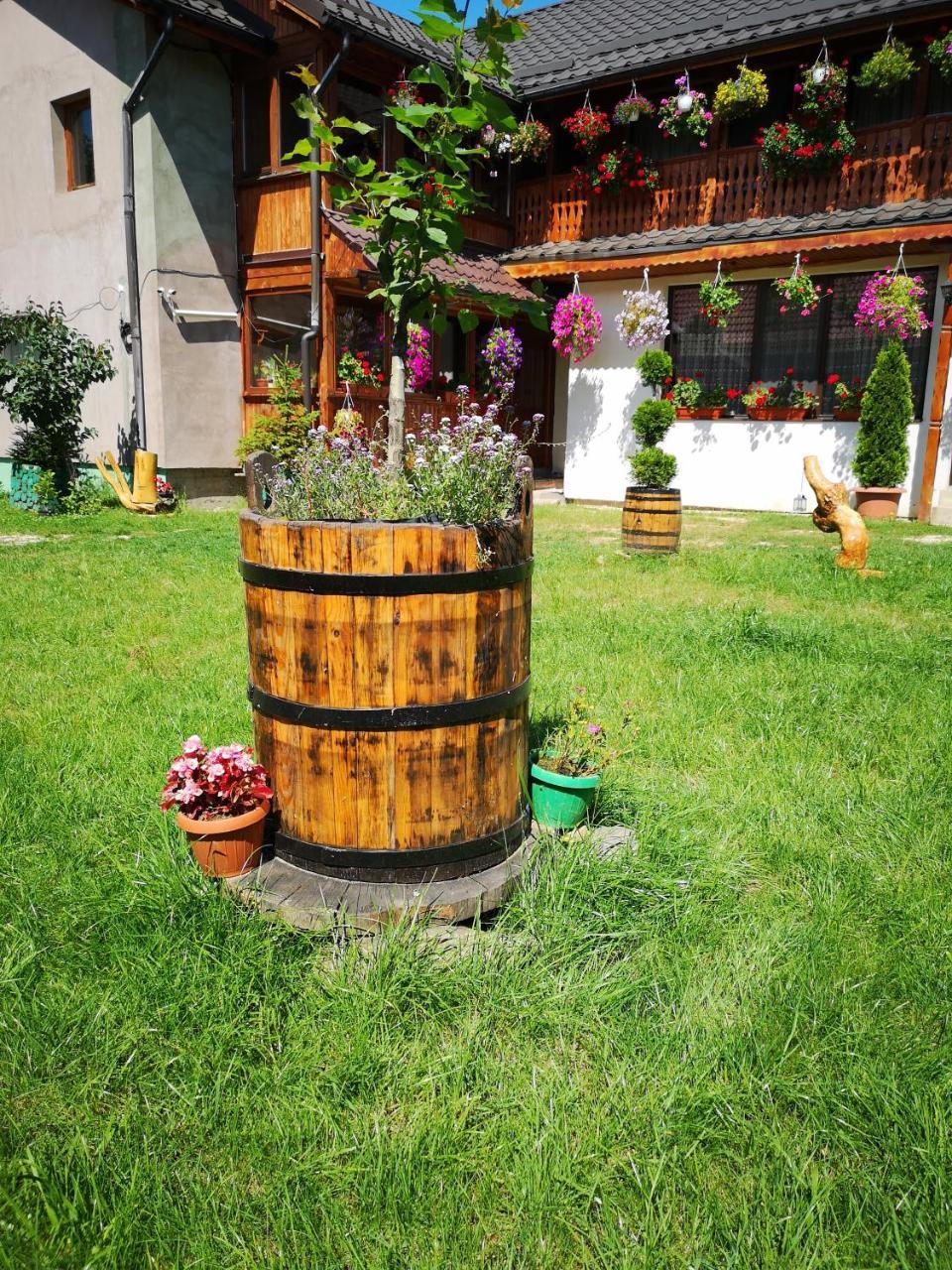 Agropensiunea Casa Nica Margineni  Екстериор снимка